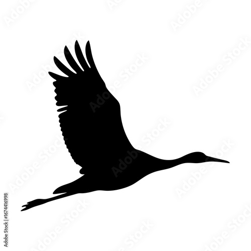 Majestic Sandhill Crane in Flight Silhouette, a Symbol of Grace and Freedom