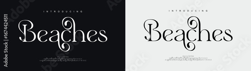 Beaches elegant Font Uppercase Lowercase and Number. Classic Lettering Minimal Fashion Designs. Typography modern serif fonts regular decorative vintage concept. vector illustration