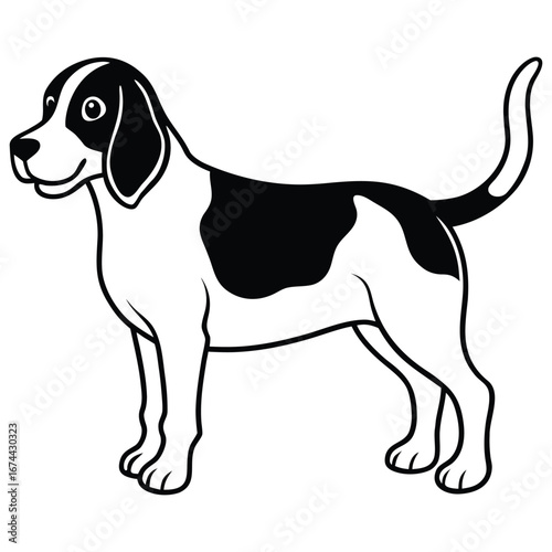 Beagle Dog White Background Vector Art