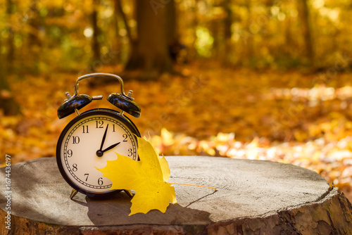 Alarm clock with a yellow maple leaf placed on a tree stump in a sunlit autumn forest with a blurred background. Symbolic image representing daylight saving time and fall season change