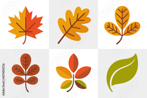 Fall foliage collection, assorted maple oak elm branch leaves with berries, seasonal autumn vector icons, botanical design elements for decor