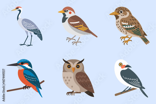 Woodland songbirds collection, thrush robin sparrow owl heron pigeon, cute cartoon birds, vector