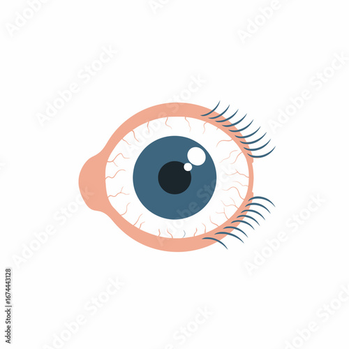 Detailed View of Eye Structure with Axon and Dendrites - Graphic Design in Flat Style