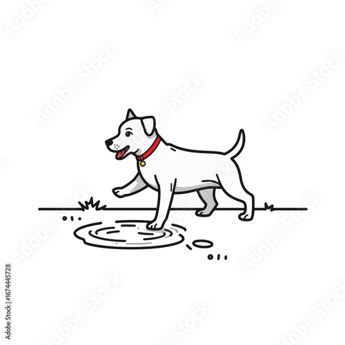 Playful dog stepping into puddle, minimalist black and white style