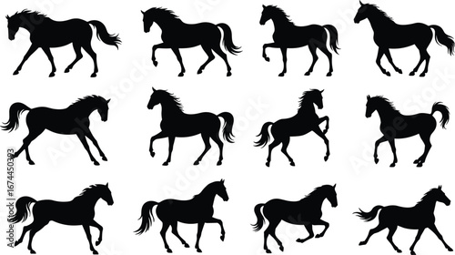 Running horse silhouette set, black horse walking icons, animal motion poses, equine vector illustration, wild mustang graphic, isolated design