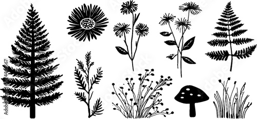 Linocut alpine plants collection featuring edelweiss, pine tree, and juniper for nature design