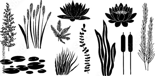 Linocut aquatic plant collection featuring water lily and lotus silhouettes for design
