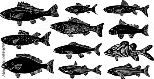 Linocut fish collection featuring cod, herring, salmon, tuna, carp for artistic design