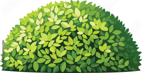 Decorative Spherical Hedge for Garden Landscaping