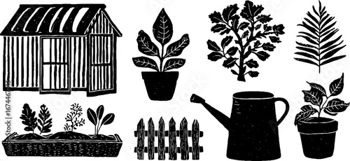 Botanical linocut greenhouse collection with seedlings and gardening tools for decorative design