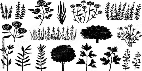Medieval garden plants linocut collection for unique floral art and design