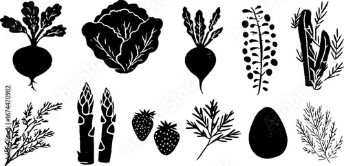 Spring garden harvest linocut set featuring radish, lettuce, peas, and asparagus for culinary and botanical designs