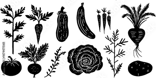 Linocut vegetable garden collection with tomatoes and cucumbers for nature-inspired design