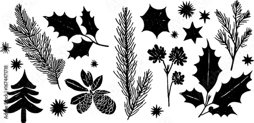 Winter linocut border with pine branches and cones for seasonal design