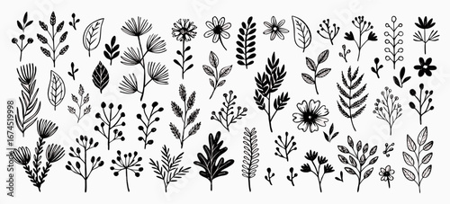 Black and White Floral Elements: Hand-Drawn Botanical Illustrations