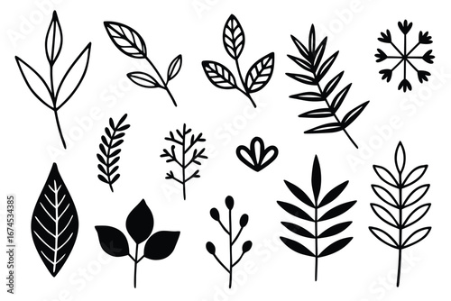 Creative black leaf silhouettes perfect for botanical illustrations or design projects.