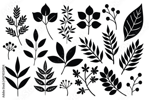Creative black leaf silhouettes perfect for botanical illustrations or design projects.