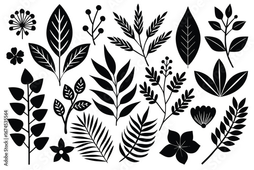 Creative black leaf silhouettes perfect for botanical illustrations or design projects.