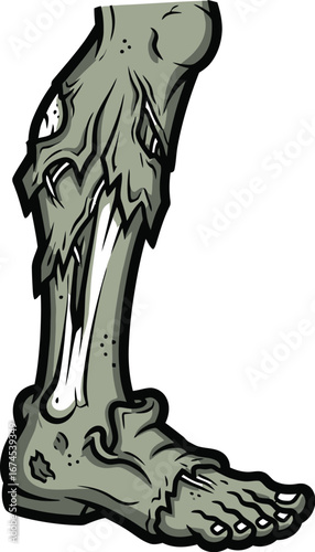 Cartoon zombie leg with decaying flesh and exposed bones on a white background