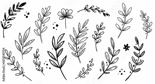 A Collection of Hand Drawn Botanical Elements Featuring Leaves and Small Flowers Ideal for Decorative Design Projects and Artistic Creations