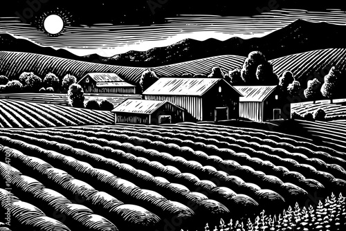 Vineyard farm at night under shining moonlight, grape fields, barns and rustic countryside black and white sketch