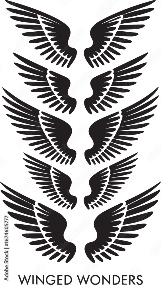 Fototapeta premium wings set silhouette vector minimal on white background