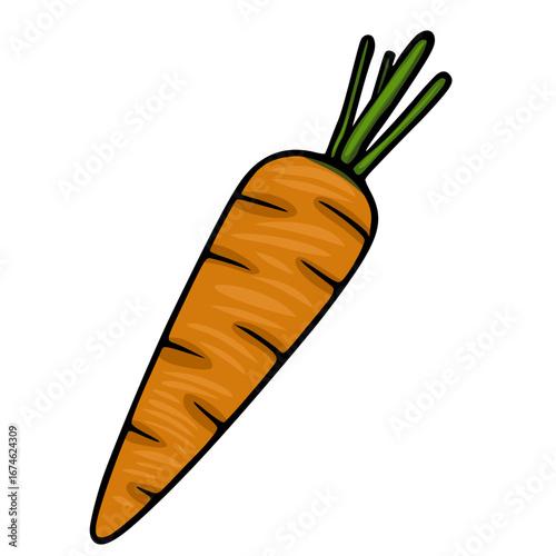 A vibrant vector illustration of a single carrot, showcasing a hand-drawn style with textured orange body and detailed green leaves, perfect for food-related designs.