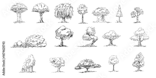 Original vector set, collection of trees hand-drawn line art, ink style, concept design. isolated silhouette on white background. black outline sketch illustration. Cower drawing. Black-white icon.