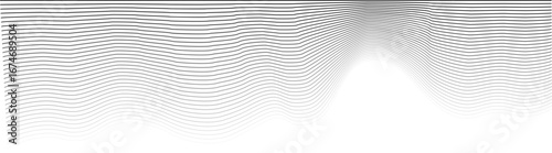 Fluid and dynamic curves form sinuous line art with soft opacity transitions and organic waves.