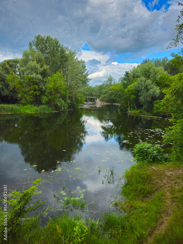 Obraz premium Panorama of a river surrounded by green trees on a cloudy day