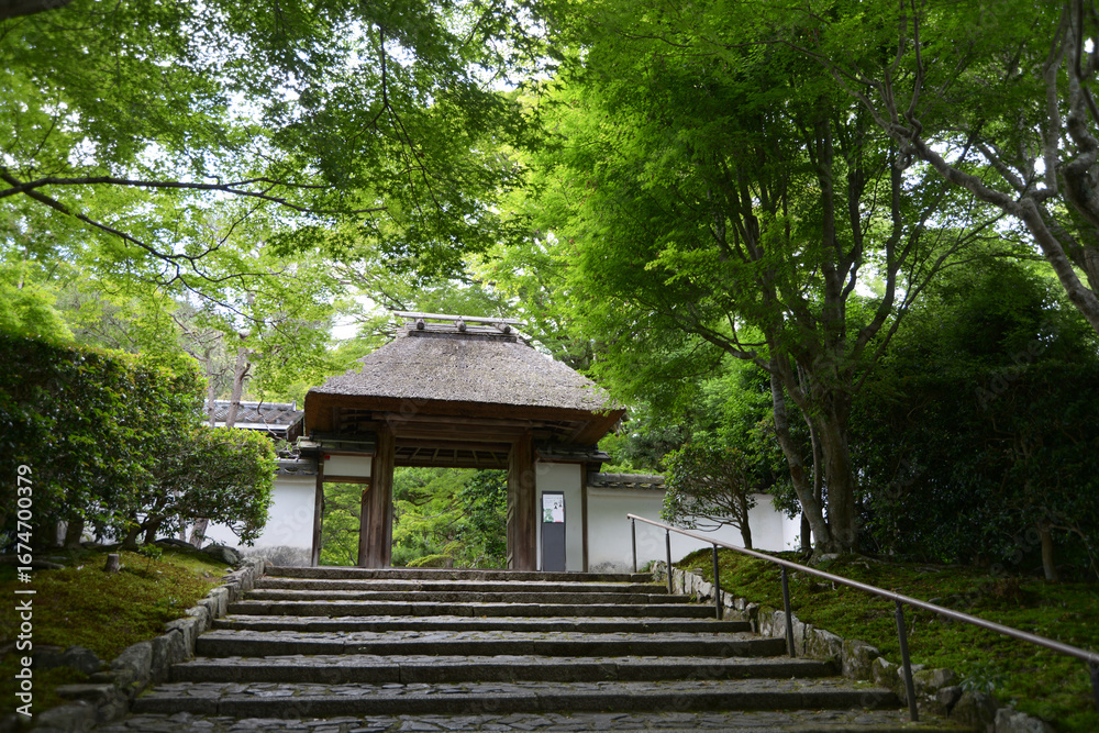 Fototapeta premium 新緑の安楽寺 山門 京都市左京区鹿ケ谷