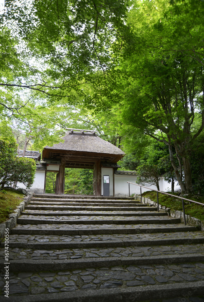 Obraz premium 新緑の安楽寺 山門 京都市左京区鹿ケ谷