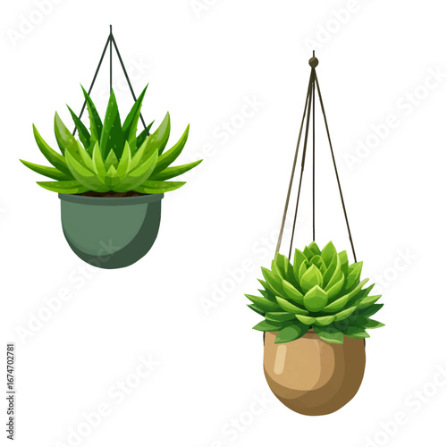House plants in a flower pot. Vector illustration. The theme of the dock's interior is eco-style. Hanging planters with juicy green succulents in a simple modern pot