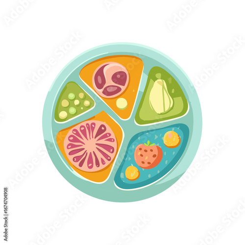 Colorful divided plate with an assortment of healthy foods including fruit vegetables and sliced meat illustration