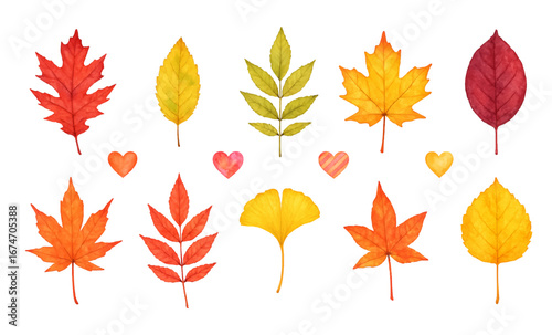 Watercolor leaves autumn set, colorful fall tree foliage and hearts, collection of traced vector