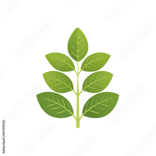 Green plant branch with fresh natural leaves and vibrant foliage on a stem ecological illustration