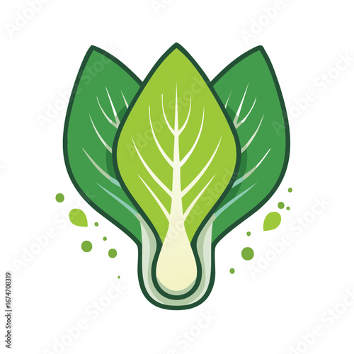 Fresh Bok Choy Vegetable Vector Illustration, Healthy Green Food Symbol, Vegan Cuisine, Vegetarian Diet
