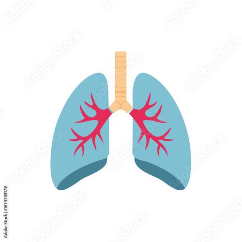 Human Lungs Illustration with Trachea, Bronchi, and Alveoli Displayed for Pulmonary Medicine and Respiratory Health