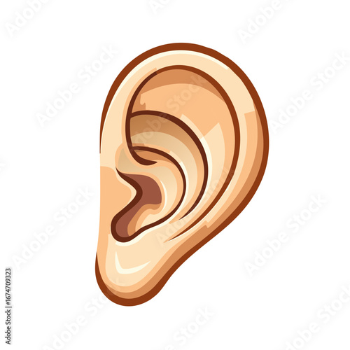 Stylized Human Ear Anatomy and Physiology with Detailed Inner Structures