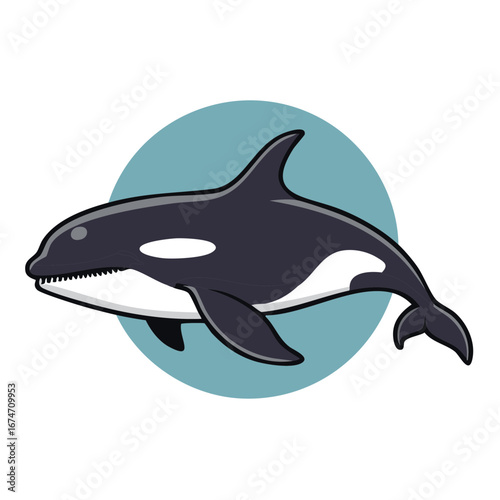 Cartoon Killer Whale Illustration of a Swimming Orca Marine Animal Icon
