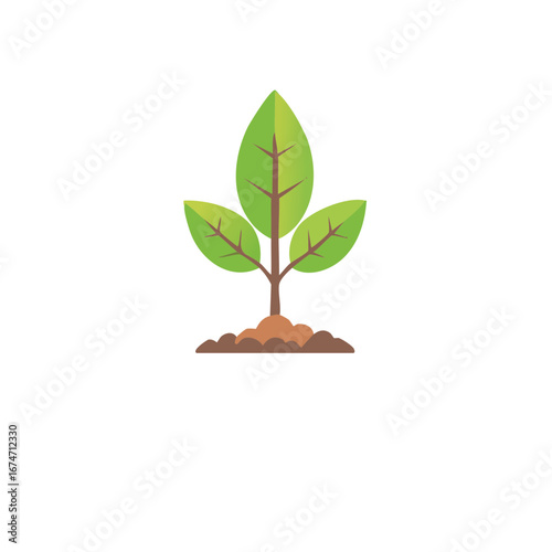 Seedling sprouting from soil, depicting new life and growth, symbol of environmental awareness.