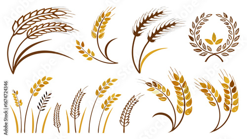 Natural Golden Wheat Grain Ears Vector Illustrations for Organic Food Packaging, Bakery Logos, Farm Branding, Agriculture Harvest Design