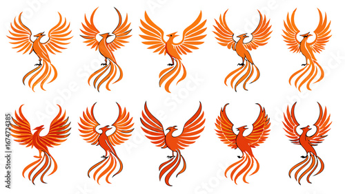 Vibrant Phoenix Bird Illustrations Set for Business Rebirth Transformation and Strength Corporate Branding and Inspirational Design Projects