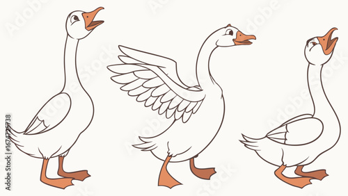 Three white geese honking and walking. Farm birds cartoon illustration of domestic animals.