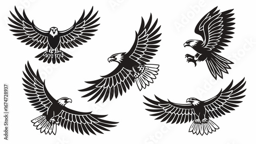 Black and white flying eagles set. Majestic birds of prey in flight. Vector illustration for freedom and power.