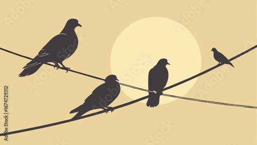 Birds on power lines silhouette. Pigeons perched on electric wires against a bright sun or moon in the sky. Urban nature.