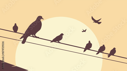 Birds on power lines silhouette at sunset. Golden sky background. Tranquil urban nature scene, freedom and peace concept.