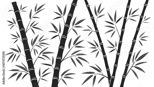Black and white bamboo plant silhouette illustration. Asian oriental nature background for zen garden tropical forest design