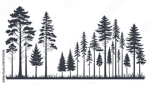 Forest silhouette of pine trees and fir trees. Isolated evergreen conifer woodland landscape on white background.