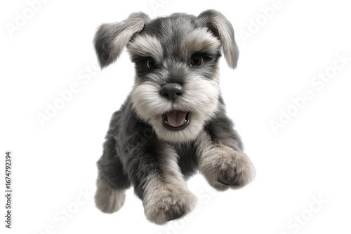 Cute puppy in running pose transparent background